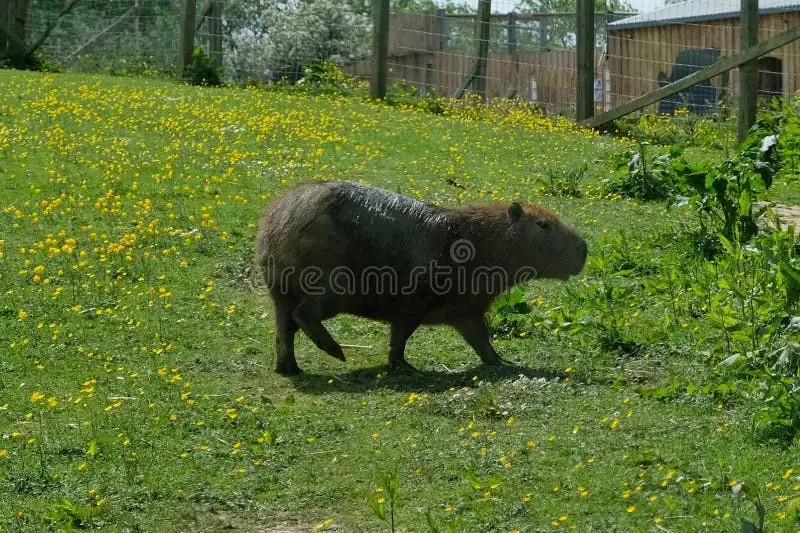 4. Northumberland Zoo, UK