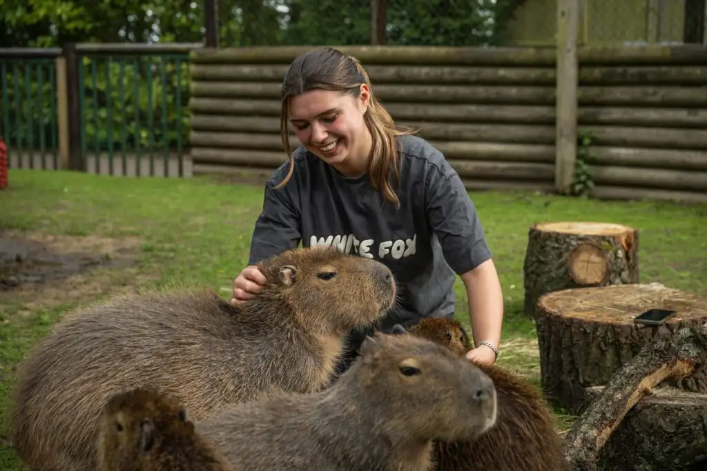 5. Hertfordshire Zoo, UK