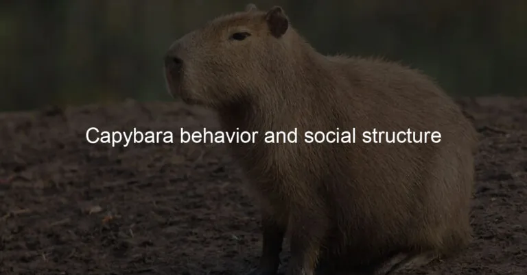 Behavior and Social Structure: How Do They Behave?