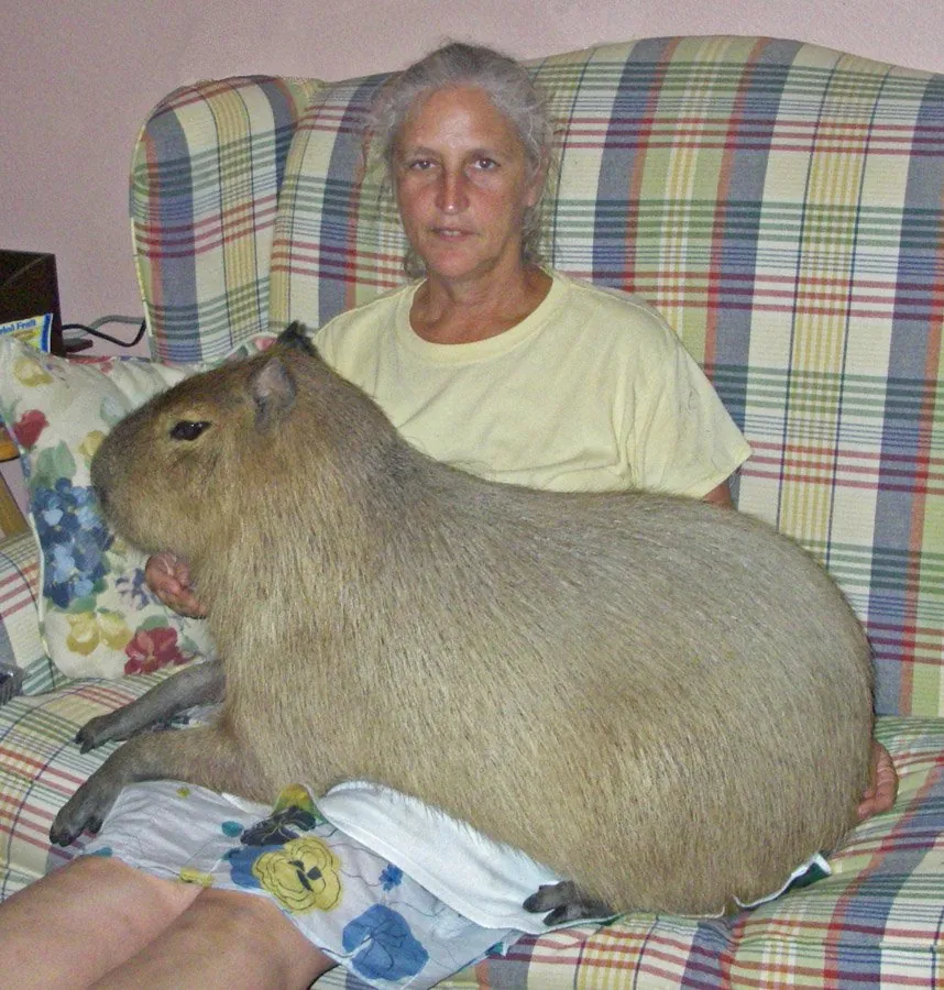 Can You Keep Nutria or Capybara as Pets?