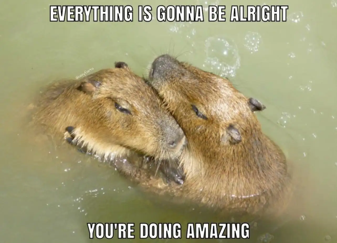 Capybara: Doing Alright (For Now)