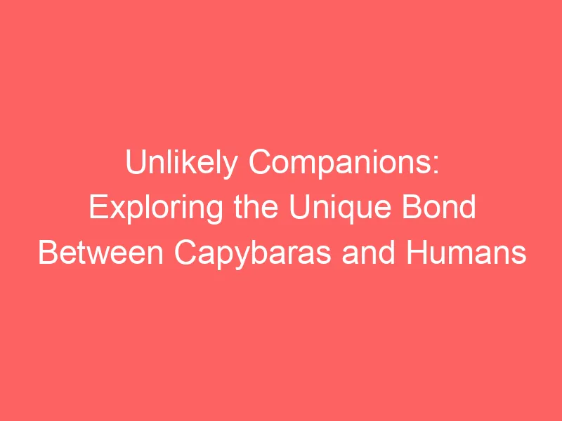 Capybaras and Humans: A Unique Bond