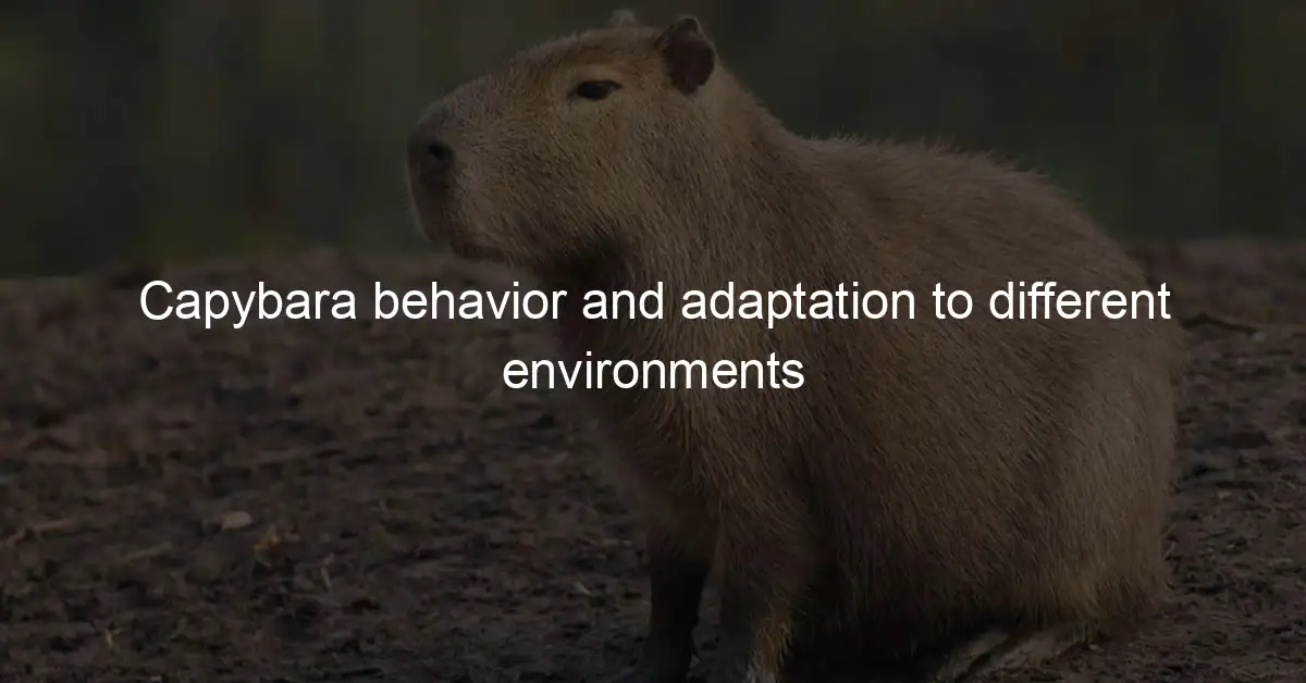 Capybaras in Different Environments