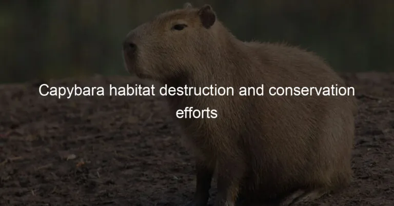 Conservation Efforts: Protecting Capybaras and Their Habitats