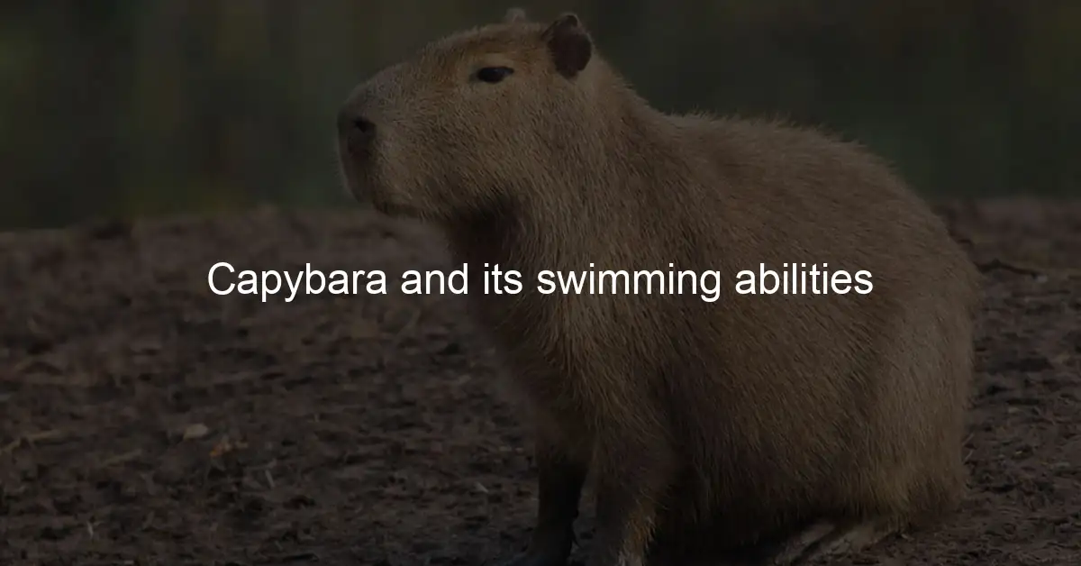 FAQs About Capybaras and Their Underwater Abilities