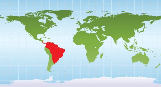 Geographic Distribution of Capybaras