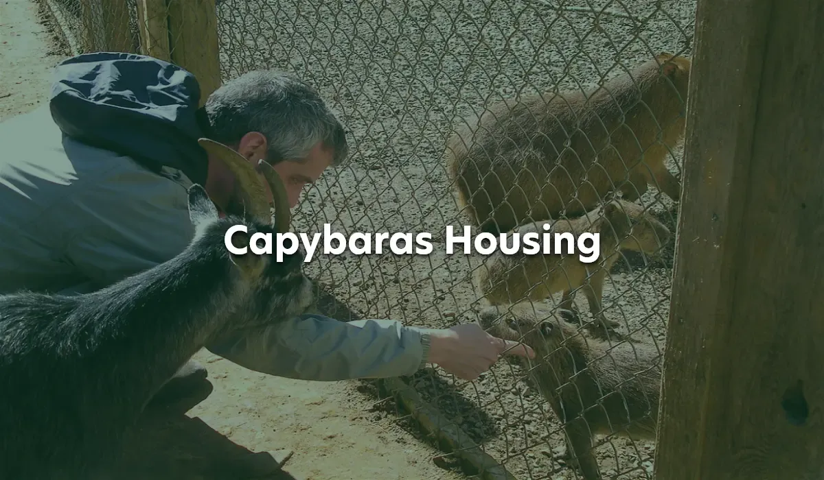 Setting Up Shop: Housing Your Capybara