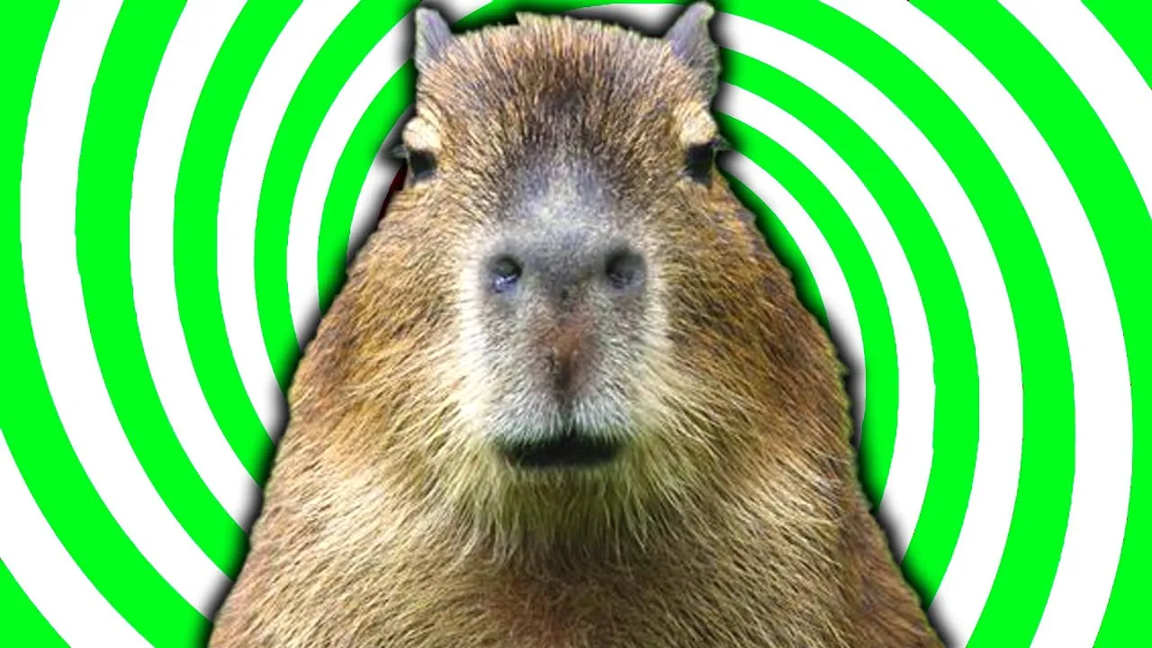 The Bizarre Truth: Capybaras Eat Their Own Poop