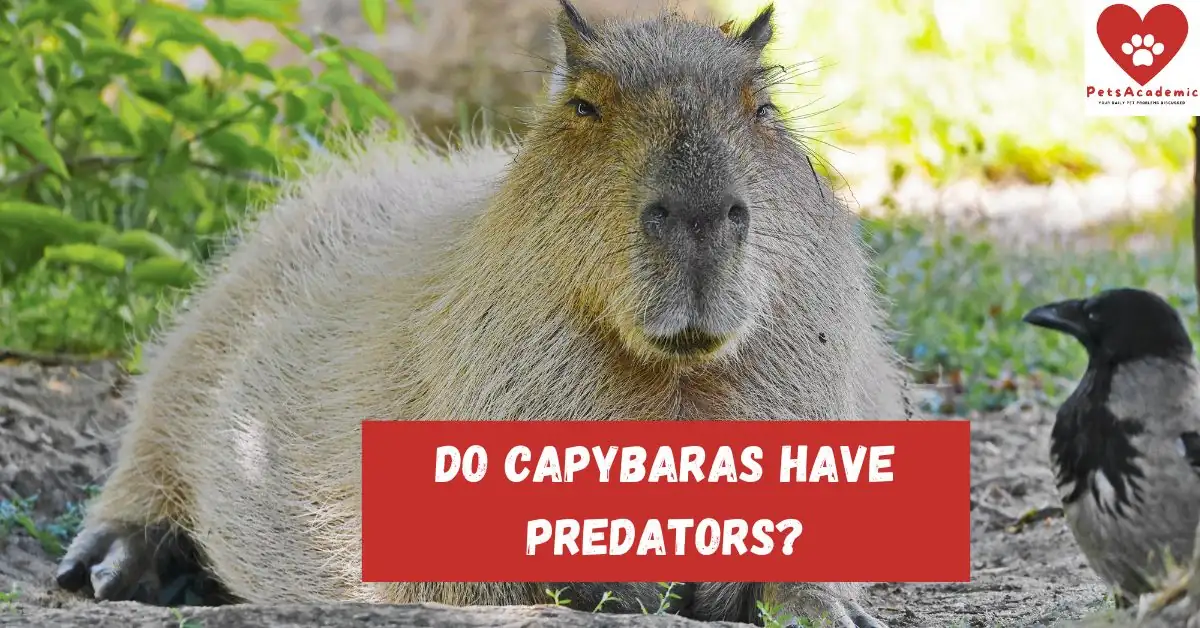 The Bottom Line on Capybara Predators