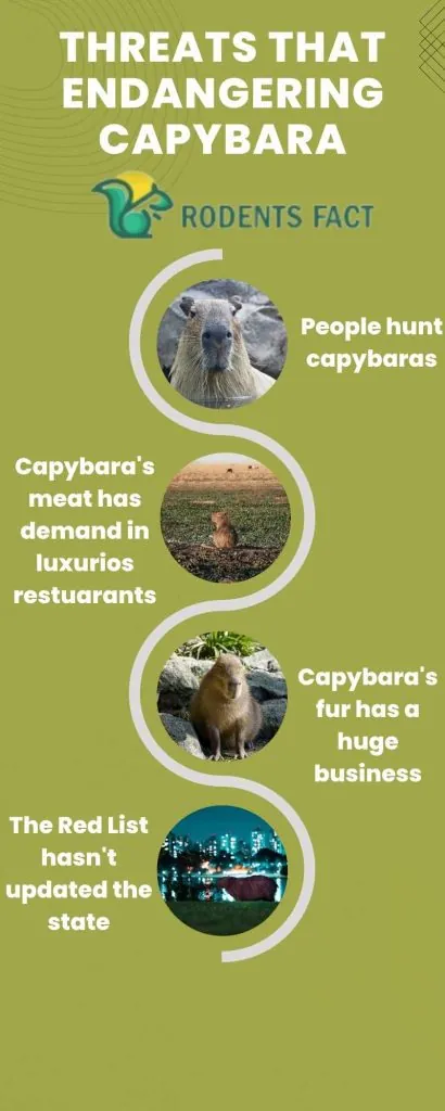 Threats to Capybara Populations