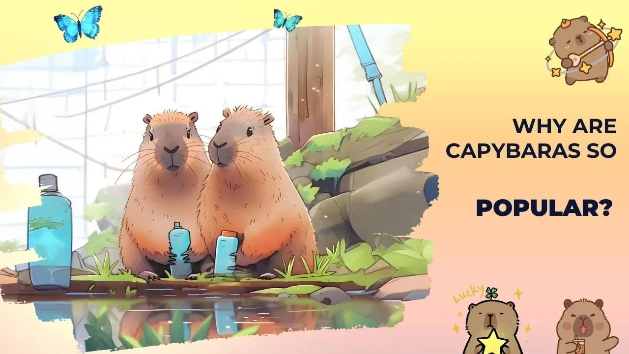 Why Capybaras Are Internet Sensations