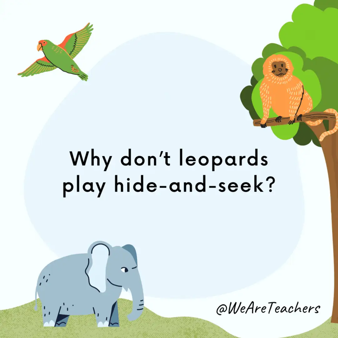 Why Don’t Leopards and Capybaras Cross Paths?